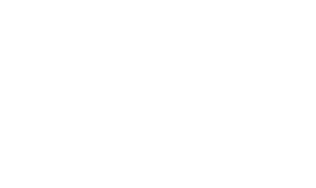 Mo-kamal Holding B.V.